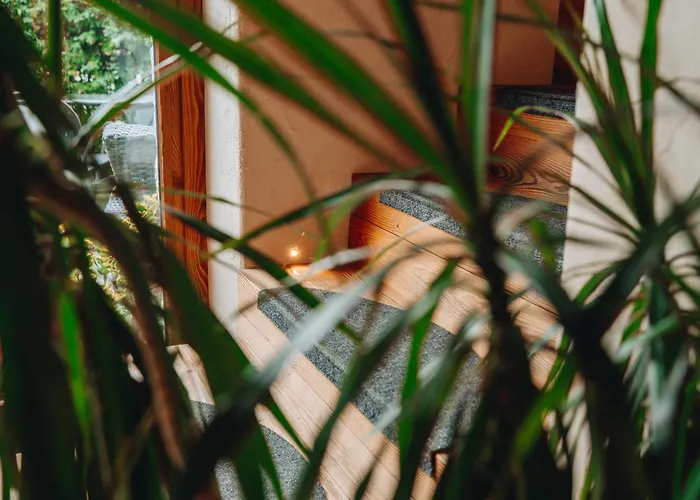 Bed & Breakfast Lo Matsòn